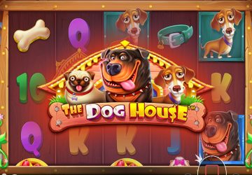 Так выглядит выпуск The Dog House